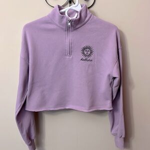 Hollister Cropped Half Zip Sweatshirt